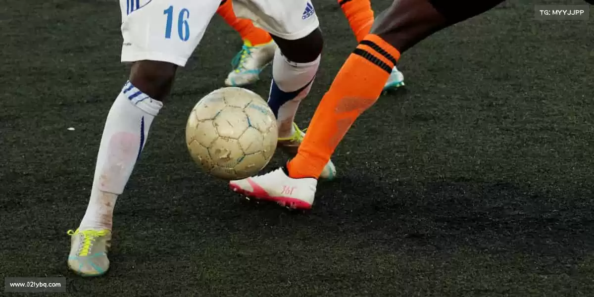 为什么选择我们